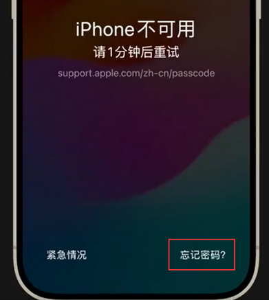 布拖苹果手机密码维修分享iPhone忘记了刚设置的密码 